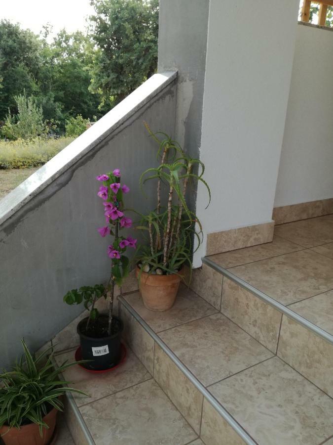 Apartments Milena Pinezići Εξωτερικό φωτογραφία